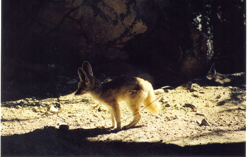 scan0052